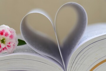 Open book with open pages shape of heart