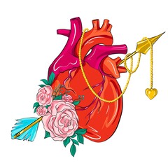 A colorful illustration of the astrological zodiac sign Sagittarius. Anatomically shaped heart pierced by a golden arrow with roses isolated on white.