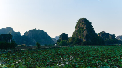 Sunset Views of  Dam Sen Hang Mua with mountains and rice fields in the forground © Chris