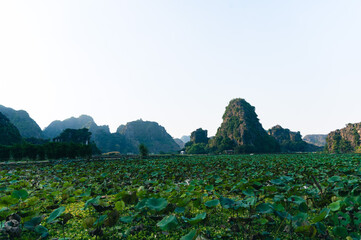 Obraz premium Sunset Views of Dam Sen Hang Mua with mountains and rice fields in the forground