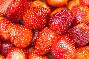 fresh strawberry