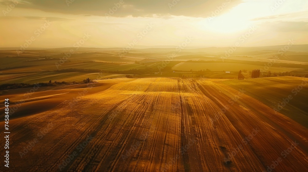 Poster sunset over golden harvest fields with shadows and light patterns