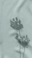 Earthy natural sage green aesthetic background for social media or mobile wallpaper, floral sunlight shadow silhouette of wildflowers on crumpled fabric texture