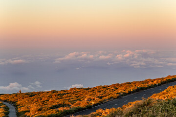 Road to Caldera de Taburiente National Park, Island La Palma, Canary Islands, Spain, Europe.