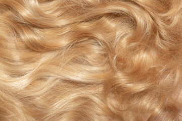 Blond hair close-up as a background. Women's long blonde hair. Beautifully styled wavy shiny curls....