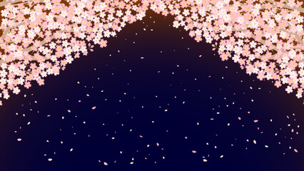 満開の夜桜の背景フレーム cherryblossom background.