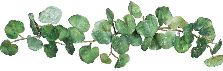 creeper made with watercolor eucalyptus leaves, isolated on transparent background - obrazy, fototapety, plakaty