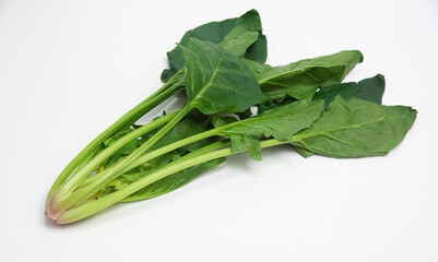ほうれん草　白背景