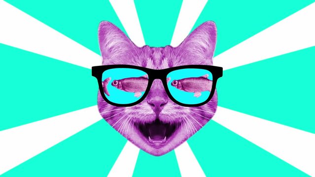 Motion of a cat's face wearing funny glasses with a fish inside