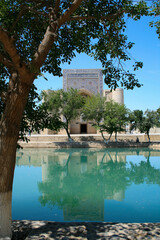 Mulberry trees at Lab-i Hauz, Khanqah of Nadir Divan-begi, Bukhara