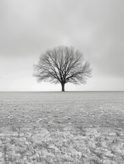 lone tree in a vast, barren field, overcast sky, feeling of desolation, dramatic landscape, stark...
