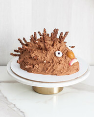 Funny ugly hedgehog cake for children's birthday made of chocolate and sweets