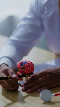Vertical footage of doctor explaining each part of brain and  neurology on model to patient and medical student in hospital