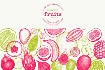 Tropical Fruit Design Template. Vector Hand Drawn Exotic Fruit Banner. Vintage Style Menu Illustration. - 745863858