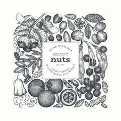 Hand Drawn Nuts Branch And Kernels  Template. Organic Seed Vector Design. Retro Nut Illustration. Engraved Style Botanical Banner.