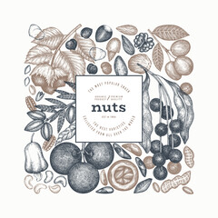 Hand Drawn Nuts Branch And Kernels  Template. Organic Seed Vector Design. Retro Nut Illustration. Engraved Style Botanical Banner. - 745864032