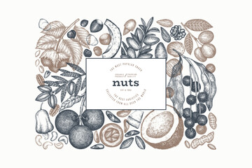 Hand Drawn Nuts Branch And Kernels  Template. Organic Seed Vector Design. Retro Nut Illustration. Engraved Style Botanical Banner. - 745864041