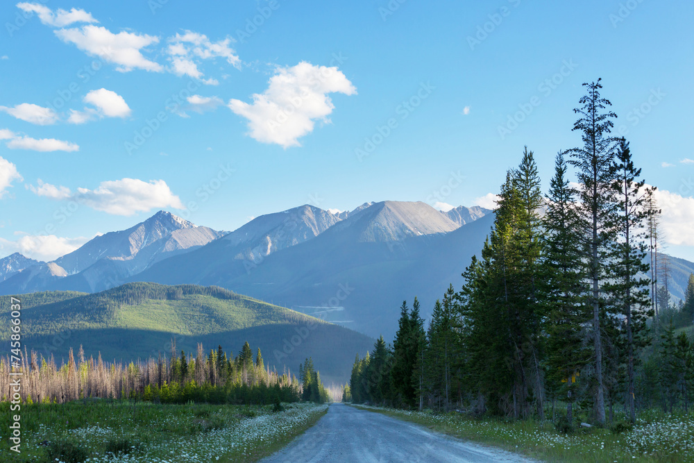 Sticker Road in mountains