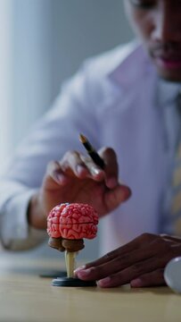 Vertical footage of doctor explaining each part of brain and  neurology on model to patient and medical student in hospital