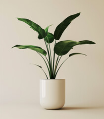 flowering green plant in white ceramic pot,
