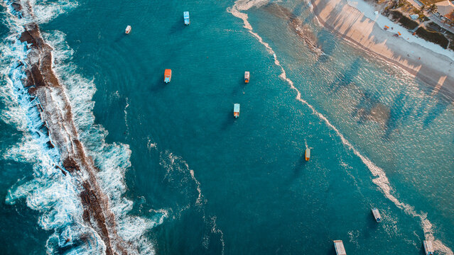 Paia do franc&ecirc;s