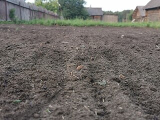 Landscape of plowed garden in spring time. Agricultural scenic view with garden-beds and trees