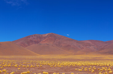 Northern Argentina