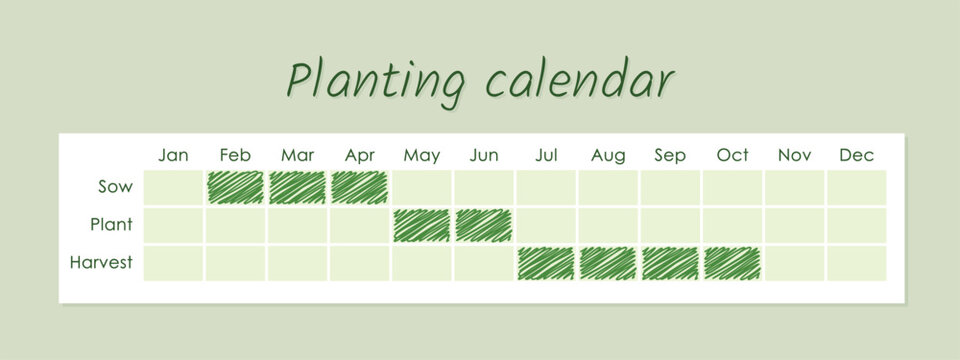 planting calendar, monthly planner for gardening, sow, plant and harvest guide, vector table - Powered by Adobe