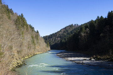 river in the mountains with forest on both sides and blue sky