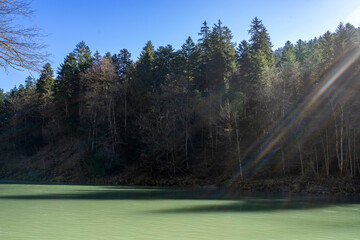 view onto river and forest with sunbeams coming into the picture