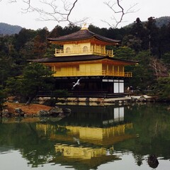 Naklejka premium Japanese palace