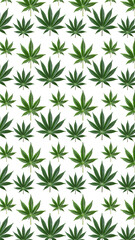 Green cannabis leafs pattern. - 745876059