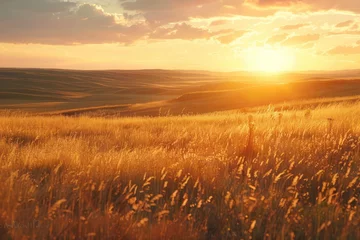 Foto op Plexiglas Golden sunset over a peaceful prairie with wild grasses swaying in the breeze nature landscape © Nisit