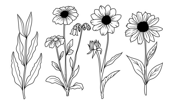 Set of artistically crafted botanical sketches. hand-drawn floral outlines
