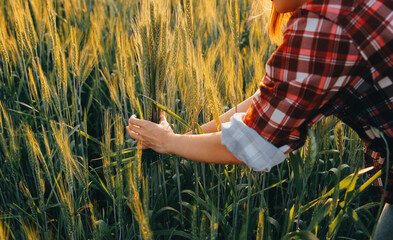 Smart farm. Farmer with tablet in the field. Agriculture, gardening or ecology concept. Harvesting. Agro business.