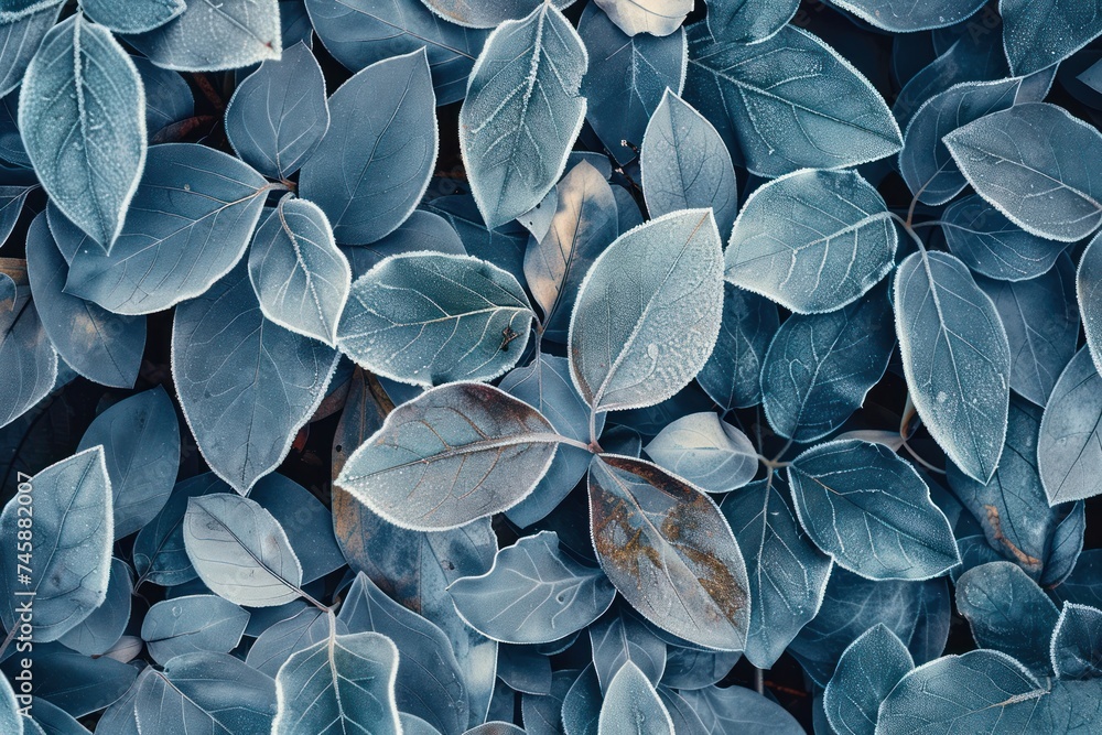 Poster close up of frost kissed leaves during early autumn showcasing the delicate transition from life to 