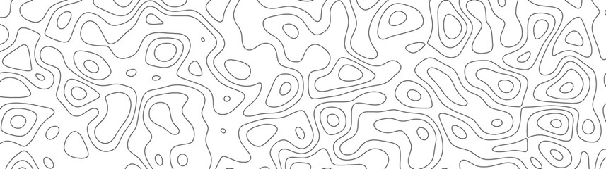 abstract white wave paper curved reliefs background. Topography map pattern, Geographic curved, vector illustration. seamless textrue, vintage waves. Panorama view multicolor wave curve line.