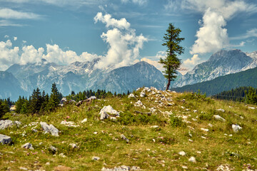 Velika Planina. High mountains. Slovenia