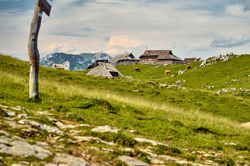 Velika Planina. High mountains. Slovenia