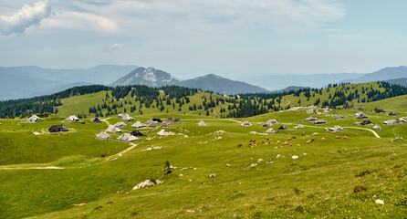 Velika Planina. High mountains. Slovenia