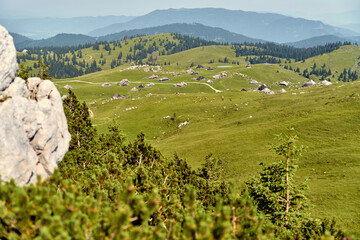 Velika Planina. High mountains. Slovenia