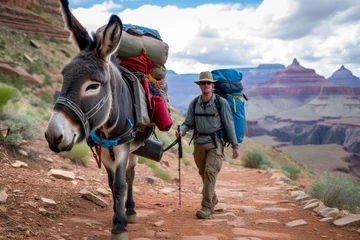 Tuinposter  hiker with a donkey carrying camping gear  © Denis