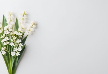 Obraz premium bouquet of snowdrops