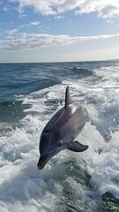 Fototapeta premium Playful Dolphins Delighting in the Water. A Spectacle of Joy and Wonder. With Graceful Leaps and Spirited Splashes