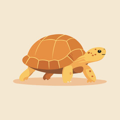 flat turtle illustration cartoon style
