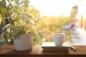 Coffee cup and notebook and Angel wings plant on wooden table under sunlight