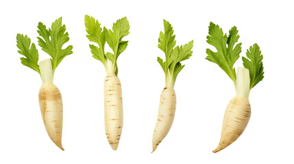 Parsnip Root Vegetable for Culinary Creations: Top View Studio Shot of Fresh Cut-Out PNG Digital Art Isolated on Transparent Background