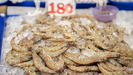 Group of fresh raw shrimp or prawn which are selling on the stall at fish market. Seafood material for cooking. Close-up and selective focus.