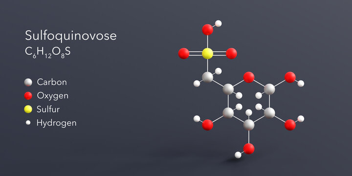 sulfoquinovose molecule 3d rendering, flat molecular structure with chemical formula and atoms color coding