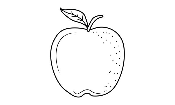 Apple outline icon vector illustration. Hand drawn line Art